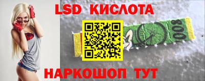 индика Кингисепп