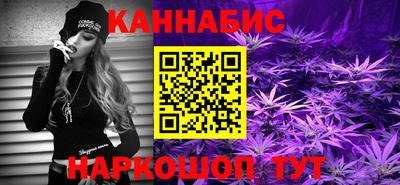 индика Кингисепп