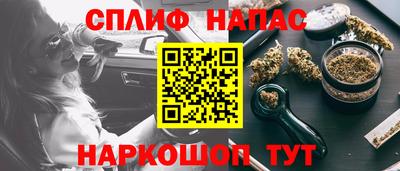индика Кингисепп