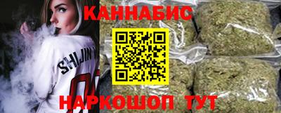 индика Кингисепп