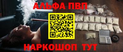 индика Кингисепп