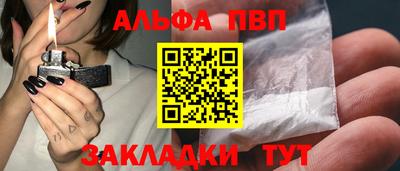 индика Кингисепп