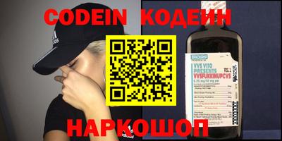 индика Кингисепп