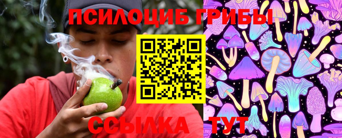 Псилоцибиновые грибы Psilocybe  Вход с VPN  Кохма 