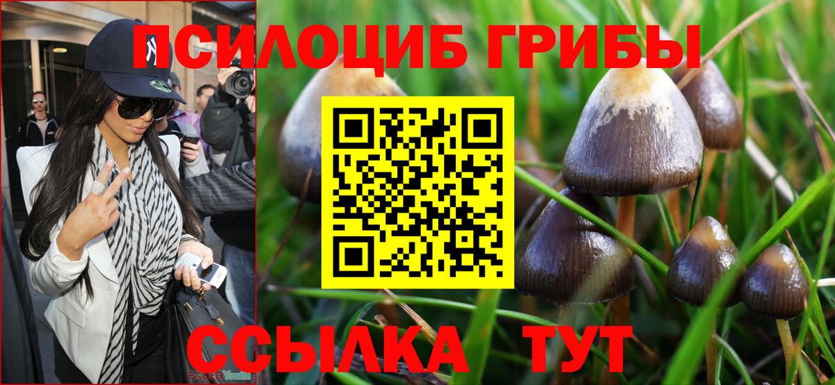 Галлюциногенные грибы Cubensis Кохма