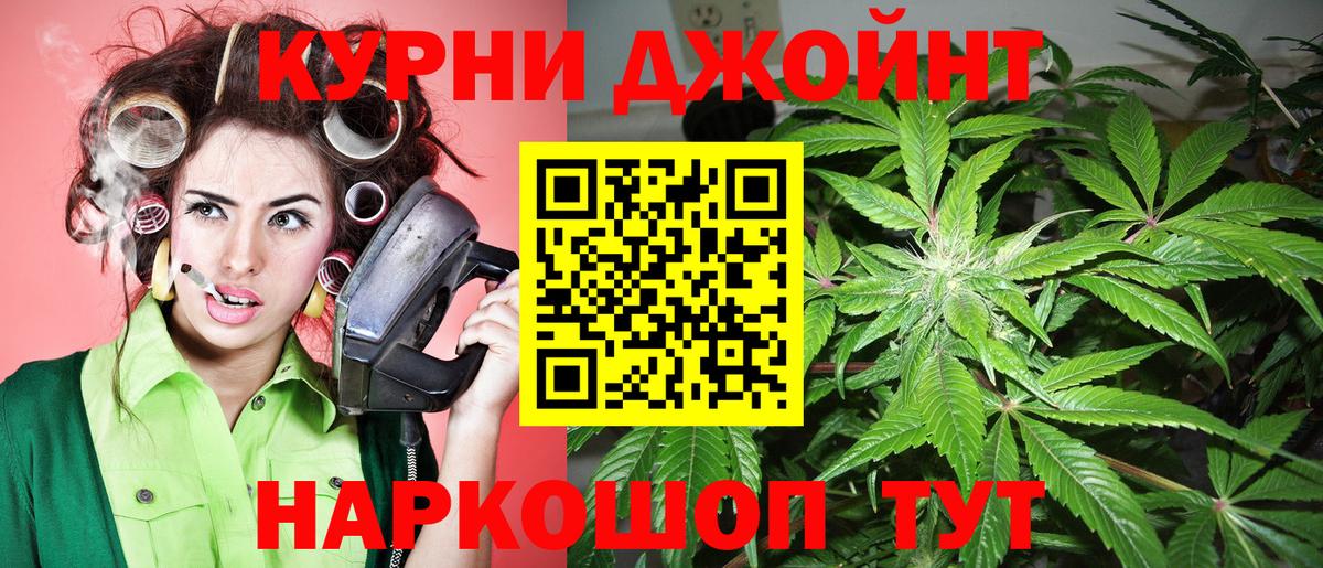 Канабис MAZAR  Вход с VPN  Бошки Шишки конопля  Кохма  Конопля тримм 